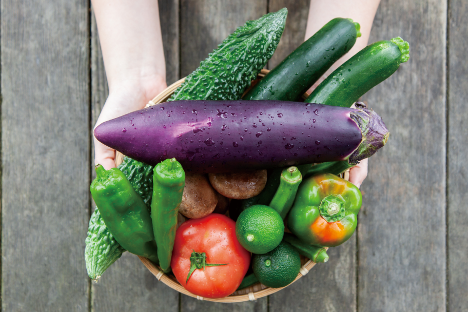 新鮮な野菜がザルの上に盛られており、真上から撮影した写真。ざるを持っている両手が少し見える。写っている野菜は、なす、きゅうり、にがうり、ししとう、トマト、しいたけ、おくら、トマト、かぼす