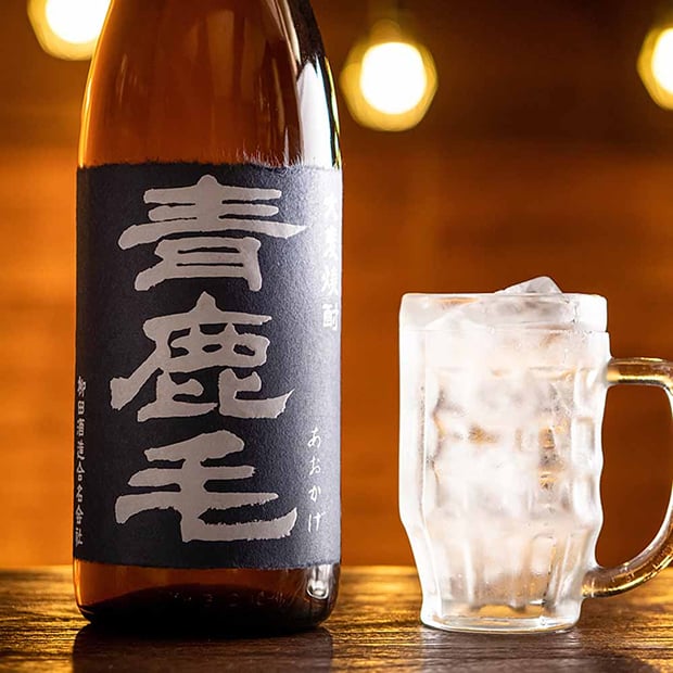 青鹿毛
